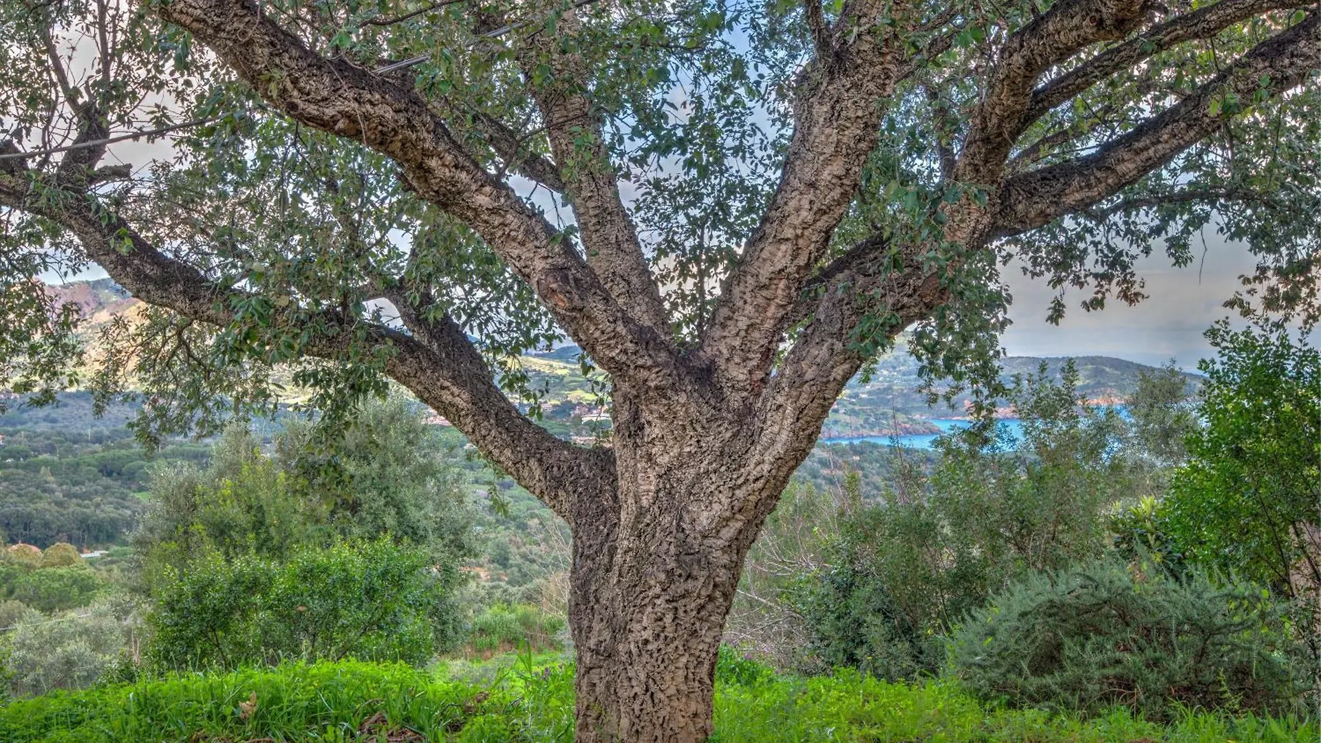 Casa Vignola Villa Capoliveri   Capoliveri (Isola d'Elba)